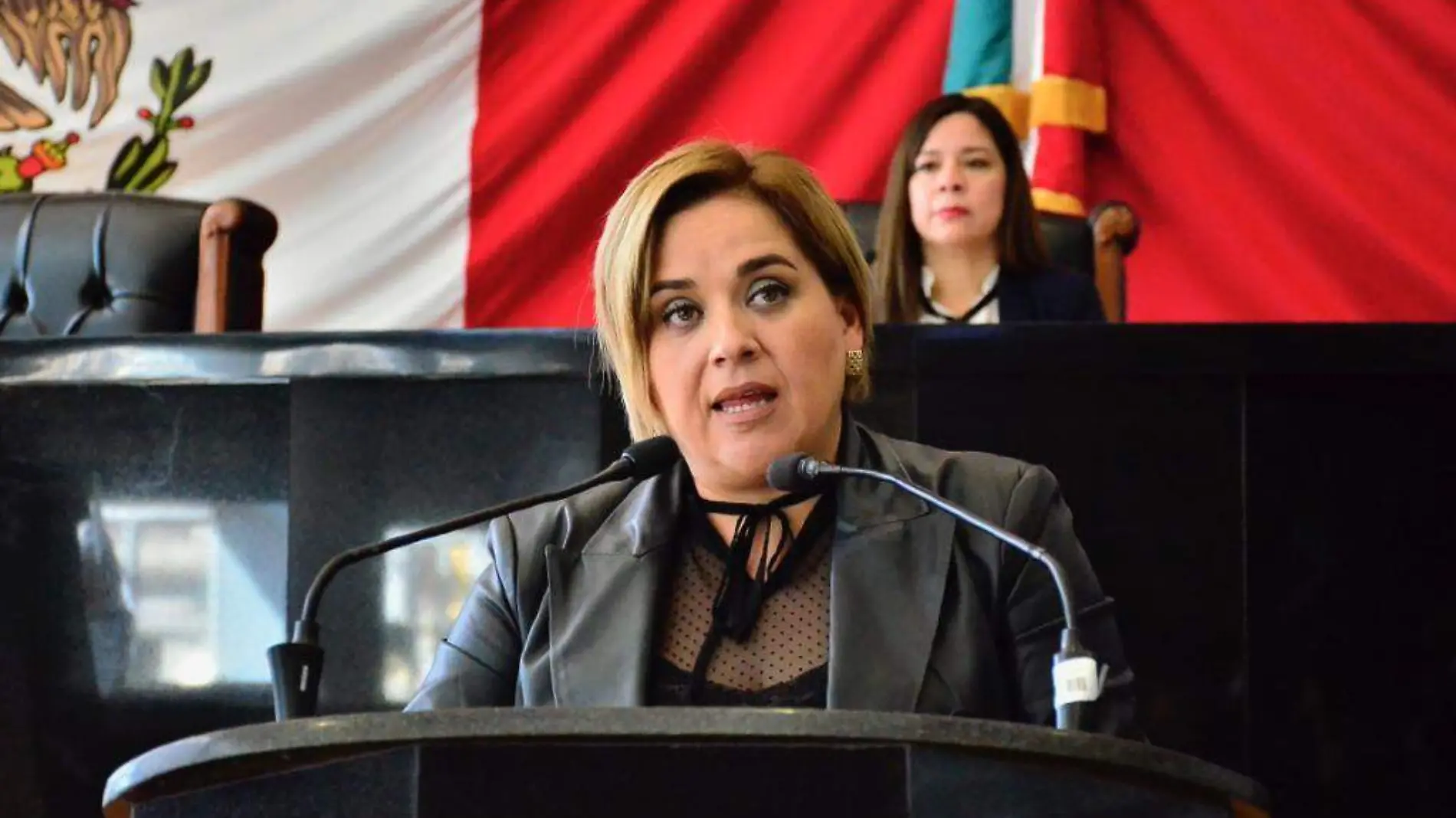 diputada salazar